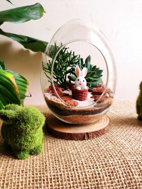 Ovinho de Suculentas - Edição de Páscoa