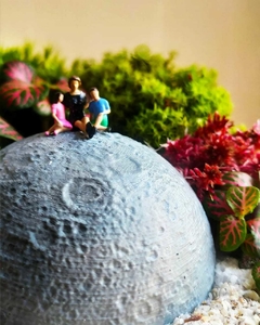 Terrário Lunar - Mãe e filhos - comprar online