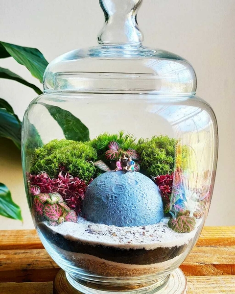 Terrário Lunar - Mãe e filhos