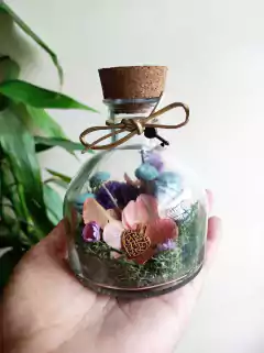 Mini Herbário - kit com 3 unidades