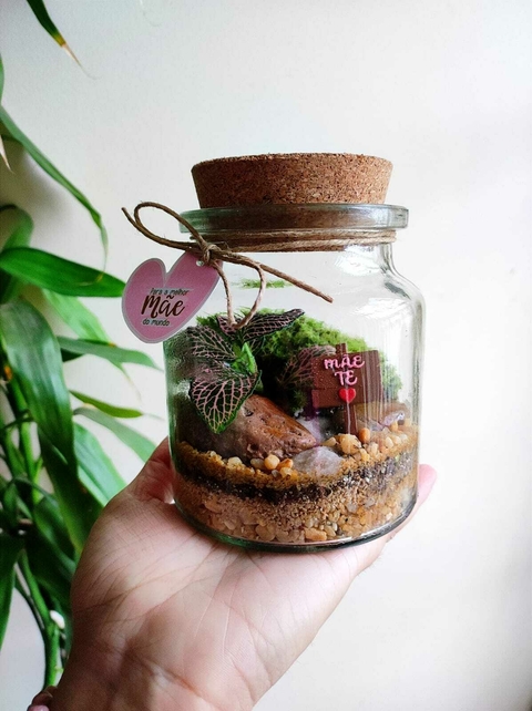 Terrário natural Mãe