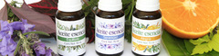 Banner de la categoría Aceites esenciales