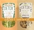 Té Detox orgánico 28 días 2-pack (moringa) Limpia tu cuerpo