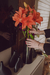 Florero 3D Herradura | 16cm - comprar online