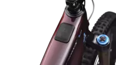 S-WORKS TURBO LEVO 4 - comprar online