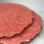 Prato Raso Porcelana Daisy Coral 27cm Wolff