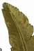 Enfeite Pena Dourada - Adorno Ornamento Decorativo 34,5cm - casa em decor