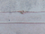 CADENA PLATA CARDANO 030