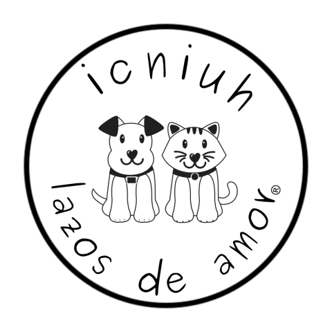 icniuh | Accesorios personalizados para mascotas