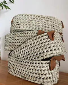 BANDEJA OLIVIA en internet