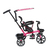 Triciclo Felcraft Little Tiger Fit - tienda online