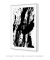 Quadro Decorativo Austeridade Abstrata na internet