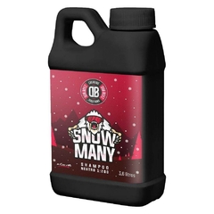 Shampoo Automotivo Concentrad Neutro Snow Many 3,6l Dub Boyz
