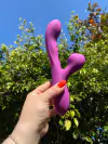 Rabbit Motor Tripo