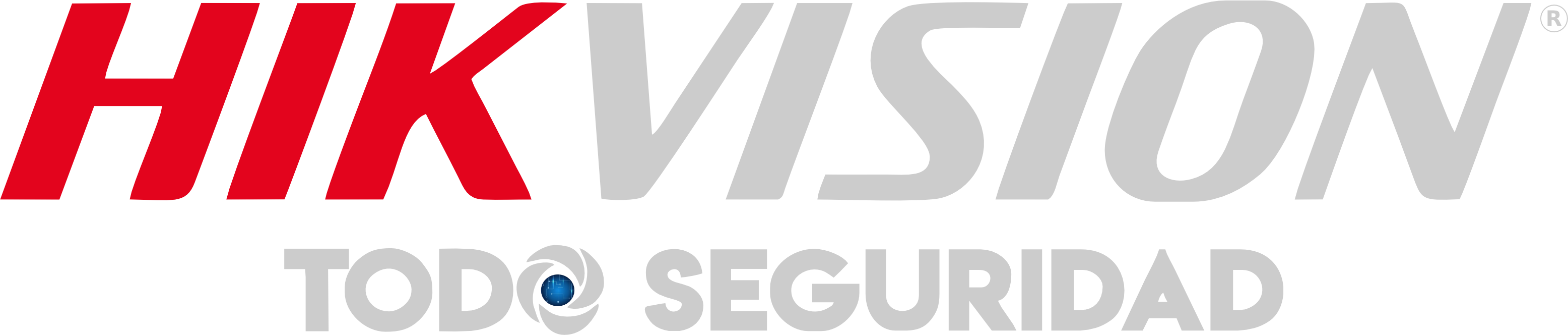 todo-seguridad