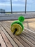 Barra Maciza + 20kg - comprar online
