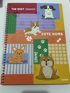 Caderno Universitário - Pet fun - 1 Matéria - 160 folhas - Papelaria Maressa