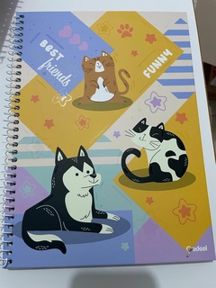 Caderno Universitário - Pet fun - 1 Matéria - 160 folhas - comprar online
