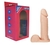 PROTESE REALISTICA COM SACO- KT103
