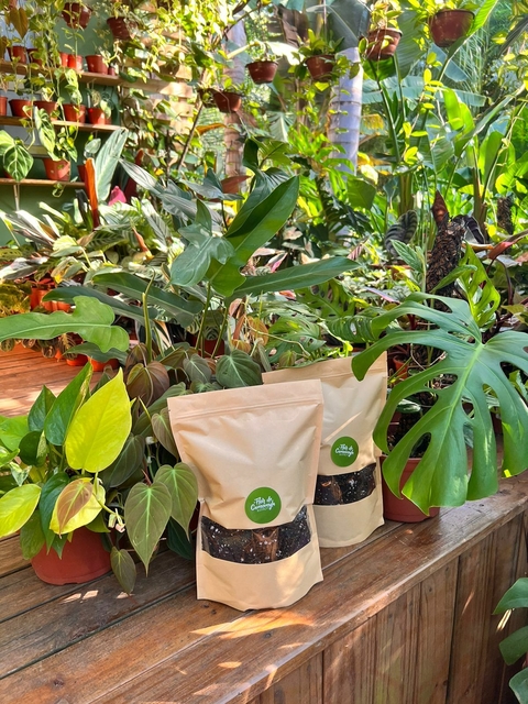 Substrato para Rhaphidophoras, Philodendrons, Fícus, Monsteras e Jiboias - 500g