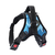 ARNES CON MANIJA PERRO MEDIANO P+ - tienda online