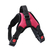 ARNES CON MANIJA PERRO MEDIANO P+ - comprar online