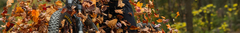 Banner de la categoría Horquillas