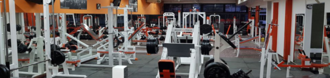 Todo lo que necesitas para equipar tu gimnasio
