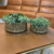 FORMA DOURADA COM PLANTA ARTIFICIAL - COMPOSE 2 PEÇAS - Casa de Pedro Decor