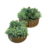 FORMA DOURADA COM PLANTA ARTIFICIAL - COMPOSE 2 PEÇAS na internet