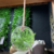 TERRÁRIO SISAL SUSPENSO REDONDO PP 605502542 - comprar online