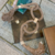 COLAR DE MESA DECORATIVO PORTO BELO - MARROM CLARO - loja online