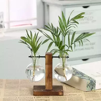 Vaso para plantas hidropônicas. - comprar online