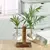 Vaso para plantas hidropônicas. - comprar online
