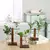Vaso para plantas hidropônicas.