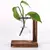 Vaso para plantas hidropônicas. - comprar online