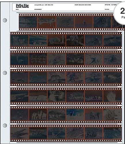 Hoja de contacto 6F CP