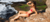 Carrusel Aquay Beachwear | Eco-mmerce | Moda sustentável