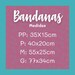 Bandana Pug s/ pompom - Charbelpontocom