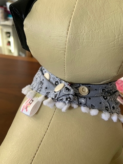 Bandana para Calopsita - Charbelpontocom