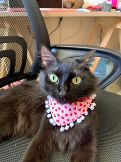 Bandana coração c/ pompom - Charbelpontocom