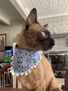 Bandana Azul claro c/ popom