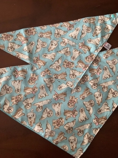 Bandana Labrador s/ pompom