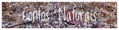 Banner da categoria Contos Naturais