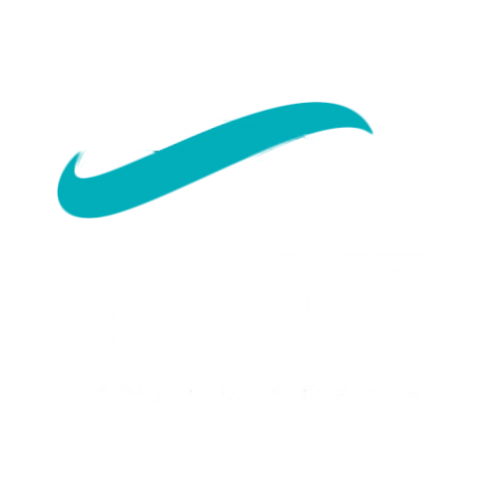 Aniz Brasil