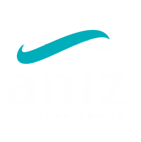 Aniz Brasil