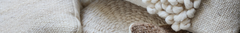 Banner de la categoría Pre-order