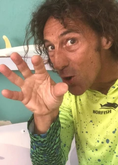 REMERA CON CAPUCHA VERDEAMARELA en internet