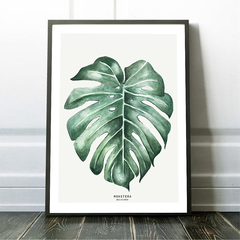 Cuadro decorativo Botanicals -Monstera - comprar online