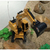Imagem do Trator Escavadeira Power Truck Com Controle Remoto E Bateria Reserva
